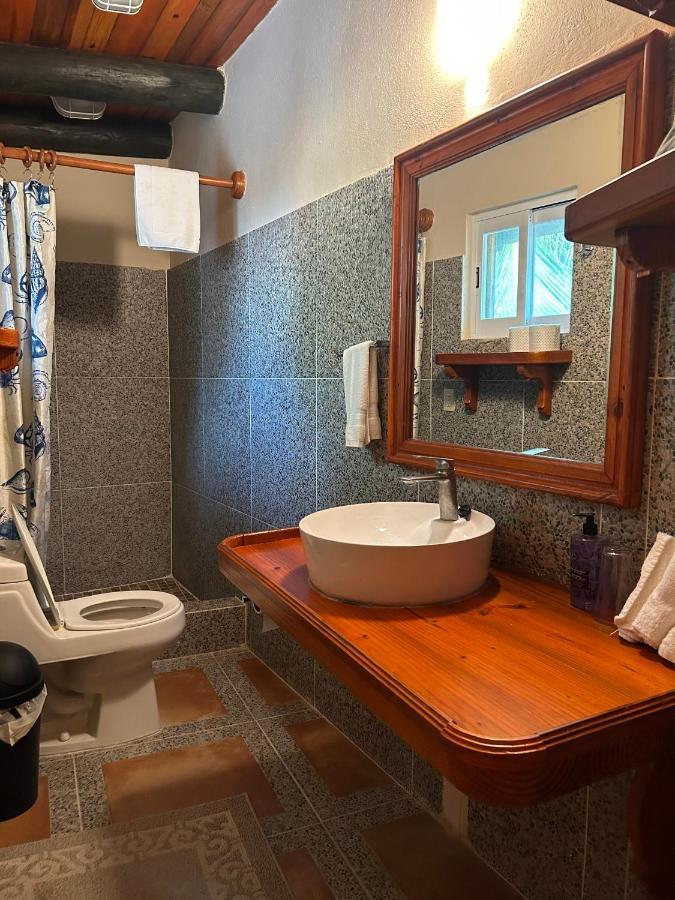 The Diving Lodge Downtown Puerto Morelos Luaran gambar